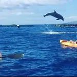 Tenerifeshouthbeach 美洲海滩