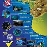 Tenerifeshouthbeach 公寓 美洲海滩