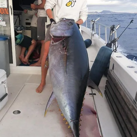 Tenerifeshouthbeach Apartmán *