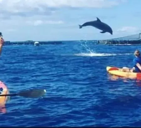 Tenerifeshouthbeach Πλάγια ντε λας Αμέρικας