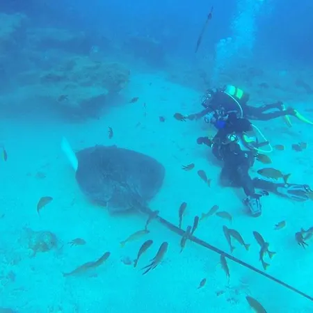 Tenerifeshouthbeach Apartmán