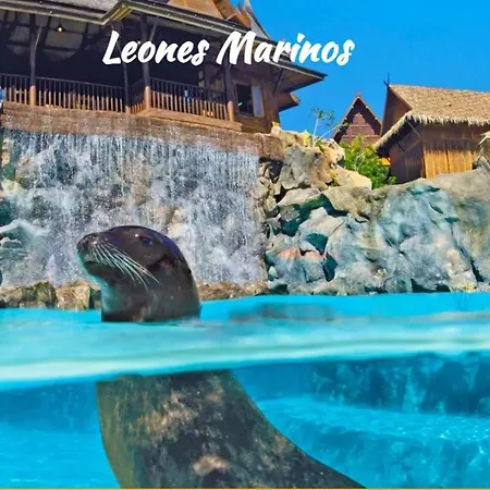 Διαμέρισμα Tenerifeshouthbeach Πλάγια ντε λας Αμέρικας