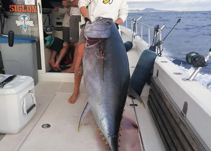 Tenerifeshouthbeach Lejlighed *