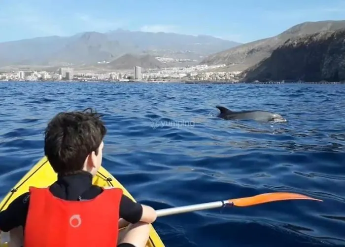 Lejlighed Tenerifeshouthbeach