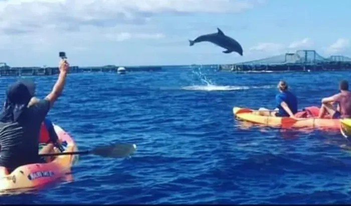 Tenerifeshouthbeach Playa de las Américas