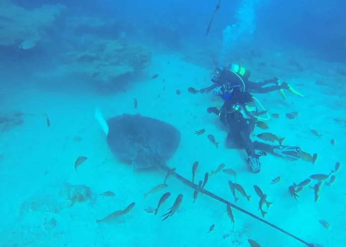 Tenerifeshouthbeach 公寓