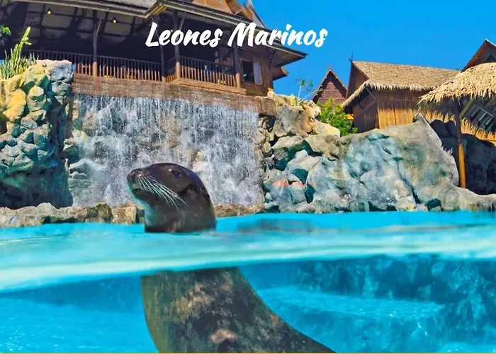 公寓 Tenerifeshouthbeach 美洲海滩